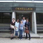 ornellaia